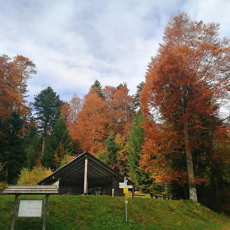 Hotel Am Kurpark Todtmoos Εξωτερικό φωτογραφία