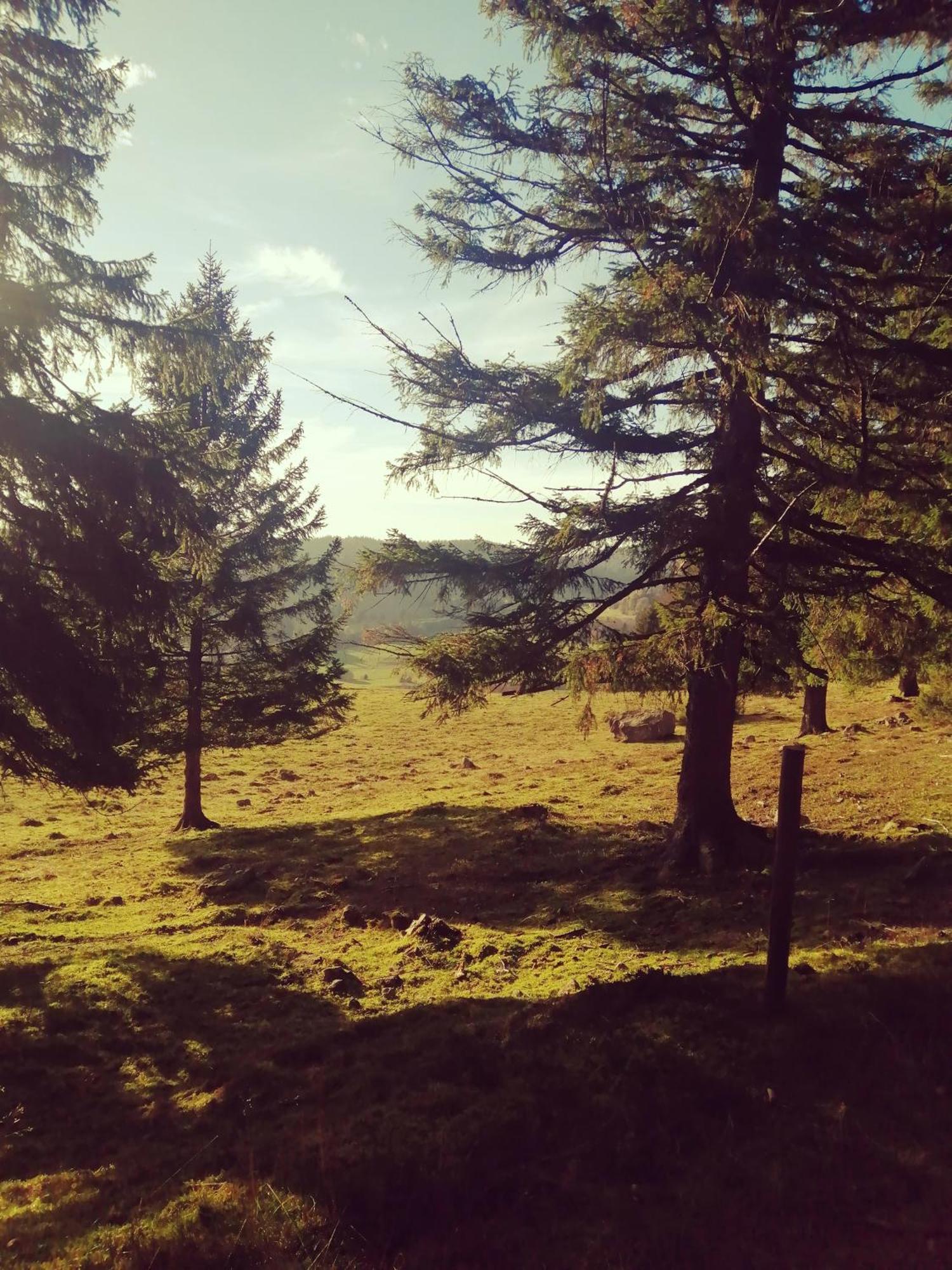 Hotel Am Kurpark Todtmoos Εξωτερικό φωτογραφία